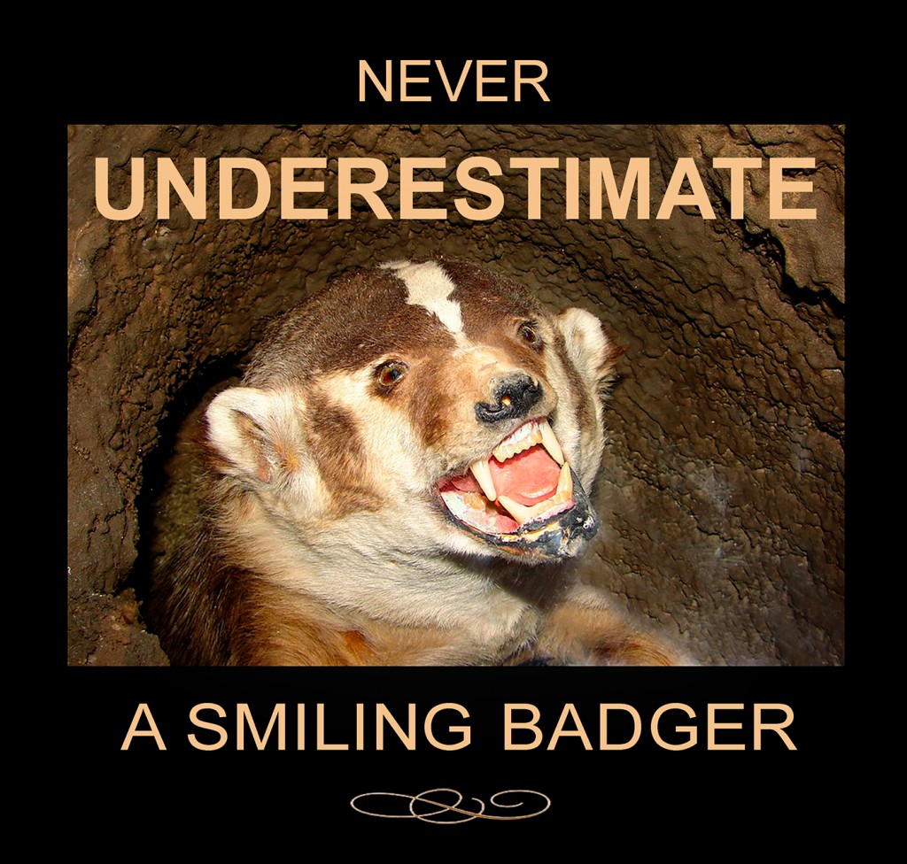 Blog Badger