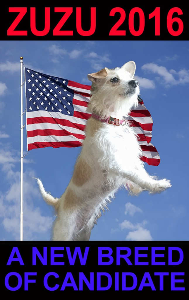 Full American Flag flying in the wind, with blue sky and clouds behind it